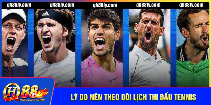 Lý do nên theo dõi lịch thi đấu Tennis theo từng ngày?