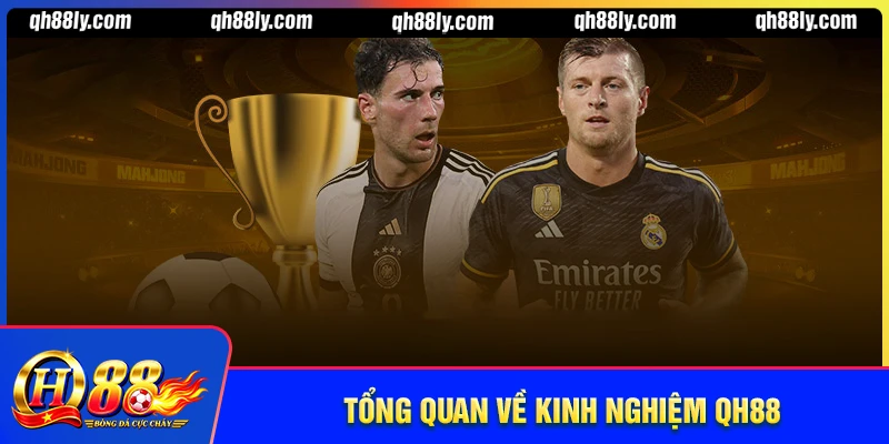 Tổng quan về kinh nghiệm QH88