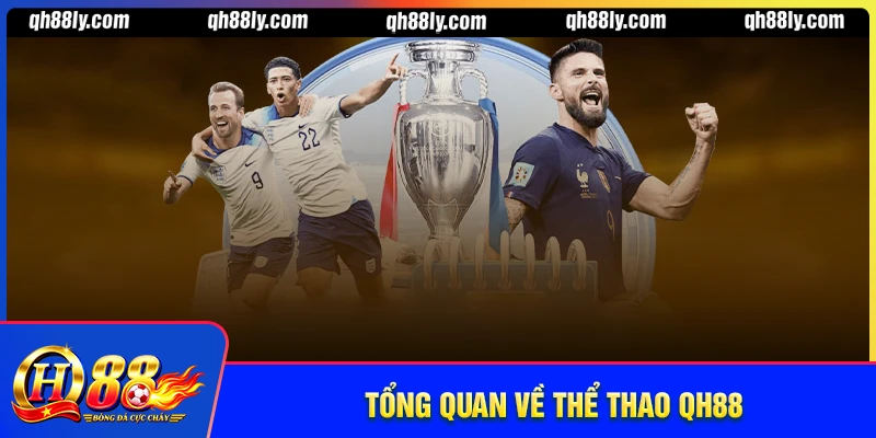 Tổng quan về sảnh thể thao QH88